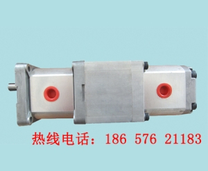 上海齒輪泵